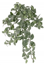 Fittoniabush (Mozaiekplant), 15 vertakkingen, 267 bladeren, brandvertragend en UV bestendig, 50cm